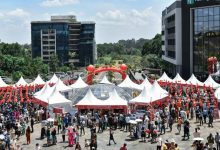 当非洲遇见春节——驻肯尼亚使馆春节系列活动侧影-中非友好经贸发展工作委员会