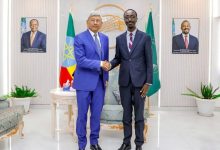 驻埃塞俄比亚大使会见埃塞外长格迪翁-中非友好经贸发展工作委员会