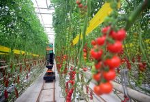 两会让世界看到中国治理智慧——访尼日利亚通讯社社长阿里-中非友好经贸发展工作委员会