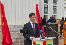 驻几内亚比绍大使出席中几比渔业合作四十周年庆典-中非友好经贸发展工作委员会