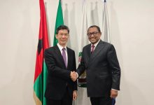 驻几内亚比绍大使拜会几比外长佩雷拉-中非友好经贸发展工作委员会